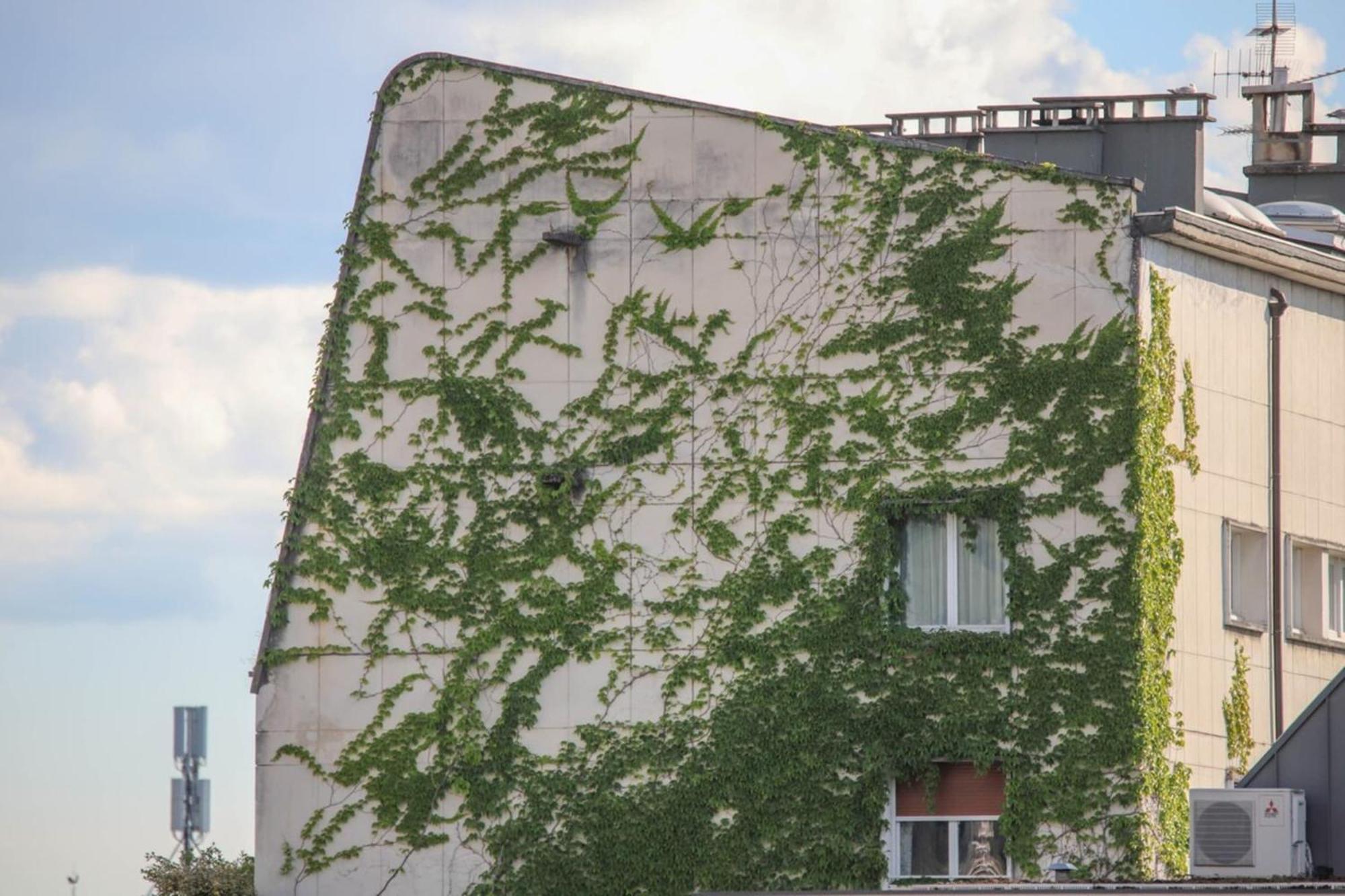 La Pause Annecienne Appartement Familial Анси Екстериор снимка